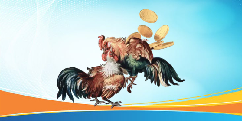 Những ưu điểm khi tham gia đá gà 69vn