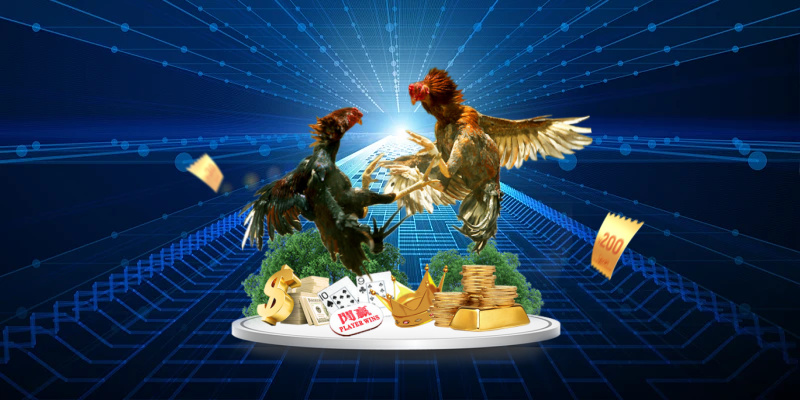 Tổng quan về đá gà SV128